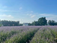 -渔岛海洋度假区