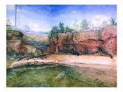 -福州罗源湾海洋世界旅游区