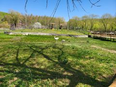 -哈尔滨北方森林动物园