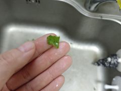 -地利生鲜(万科明天广场店)