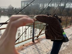 -祥源·阜阳生态乐园