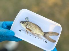 -蓝天路(地铁站)