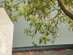 -八大山人梅湖景区
