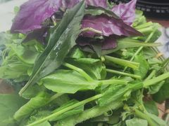 -慢丽江·云南野生菌土鸡锅(西山店)