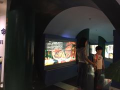 -上海昆虫博物馆