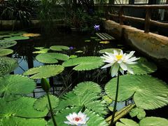 -国家植物园南园