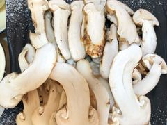 松茸刺身-蘑统田下·野生菌火锅