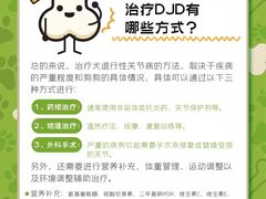 -康成宠物医院24H·CT·核磁共振
