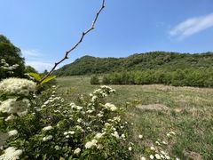 -白草畔自然风景区