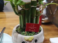 -蘇河湾·新鲁菜·泰山宴(宝龙店)