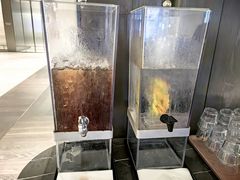 -新加坡乌节希尔顿酒店 (SG Clean)