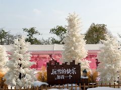 -盈香心动乐园