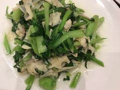 鸡毛菜百叶丝-老吉士酒家(天平路店)