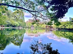 -棠湖公园