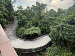 -圣淘沙天际线斜坡滑车