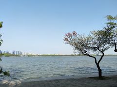 -渤公岛生态公园