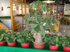 大堂-有拈头成都市井火锅(唐城店)