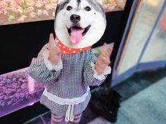 -中环花鸟鱼虫市场