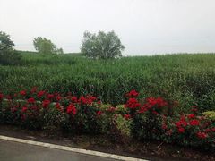 iphone_upload_pic-三山岛