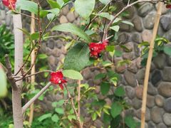 -北京植物园-展览温室
