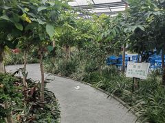 -南宫五洲植物乐园