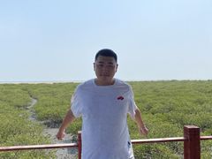 -北海金海湾红树林生态旅游区