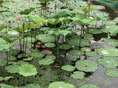 -湘湖大院(越王路店)