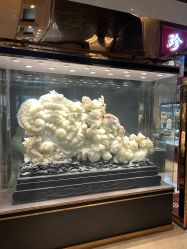 -成都新希望高新皇冠假日酒店-宴会厅·会议活动·户外场地