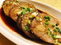 -丁老爷子苏香圆