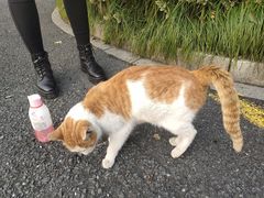 -古茗(西湖小和山店)