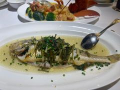 -老洋房花园饭店(绍兴路店)