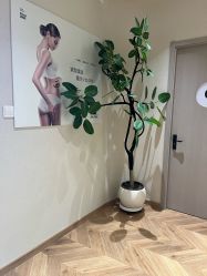 -美丽妈妈产后恢复中心(南桥旗舰店)