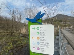 -西湖风景区-江洋畈生态公园
