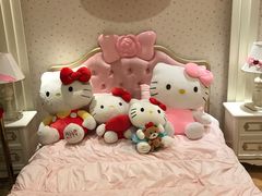 -安吉Hello Kitty乐园