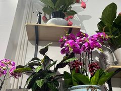 -FEI FEI FLOWER鲜花店·气球派对·宝宝宴布置(虹口德必运动Loft店)