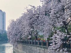 -红星桥(地铁站)