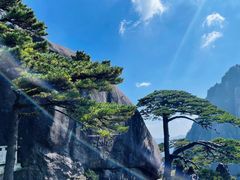 -黄山风景区