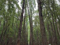 -同里国家湿地公园