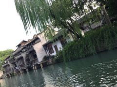 -乌镇西栅景区