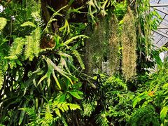 -国家植物园南园