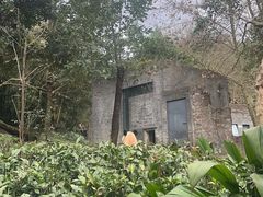 -都江堰中华大熊猫苑