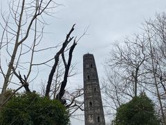 -上海佘山国家森林公园天马山园