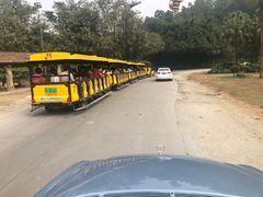 -珠海横琴长隆《卡卡虎奇遇记》