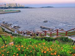 -燕儿岛山公园