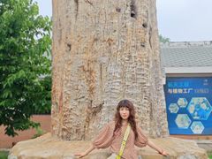 -国家植物园南园