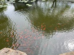 -江阴君山寺
