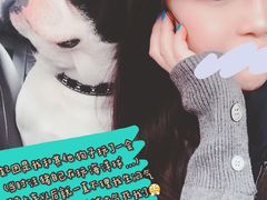 -汪说喵讲宠物乐园宠物酒店(红星美凯龙店)