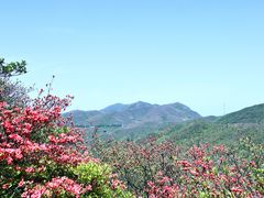 -大围山国家森林公园