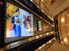 台北101大楼-台北101