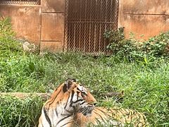 -昆明动物园